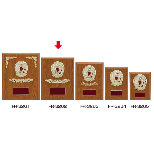 楯（競技）ＦＲ-３２６２