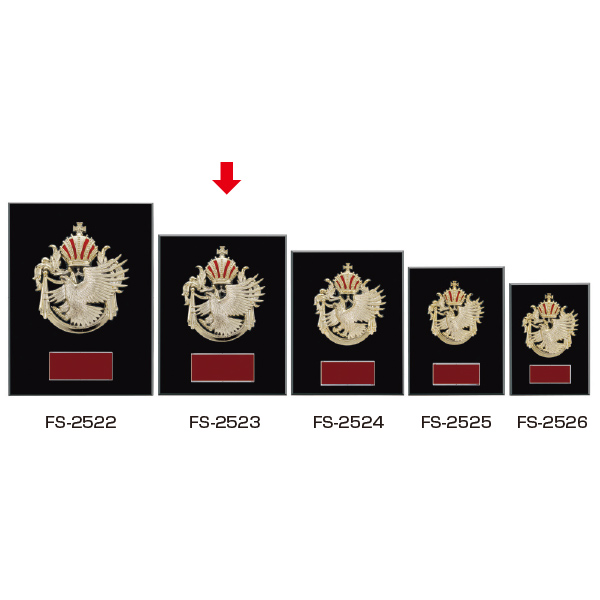 楯  ＦＳ－２５２３