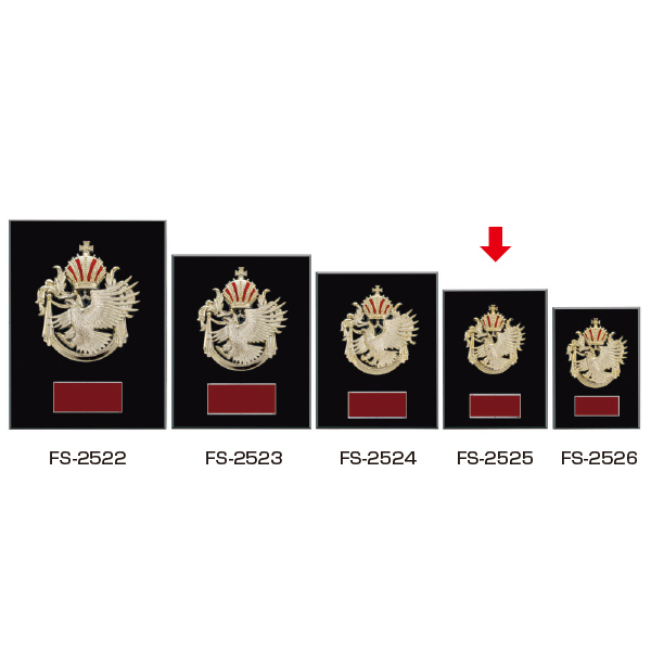 楯  ＦＳ－２５２５