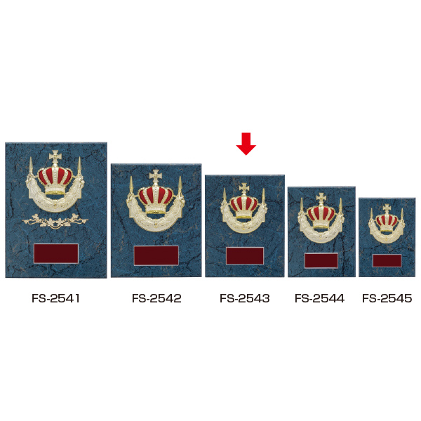 楯  ＦＳ-２５４３