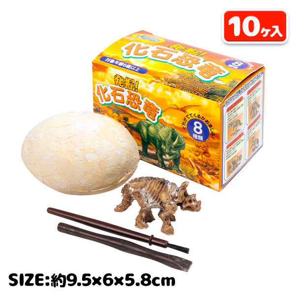 発掘化石恐竜