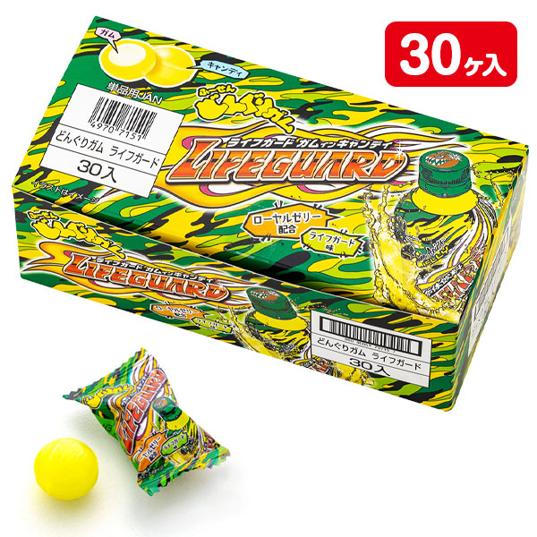 どんぐりガム  ライフガード